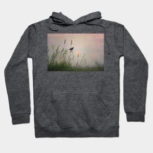 Red-winged Blackbird at Dusk Hoodie